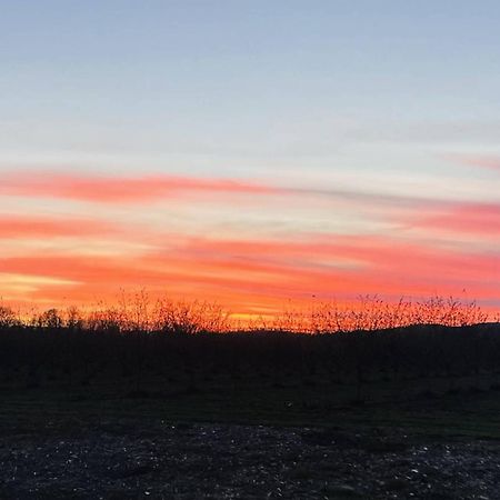 Willa Jade'S View Estate McMinnville Zewnętrze zdjęcie